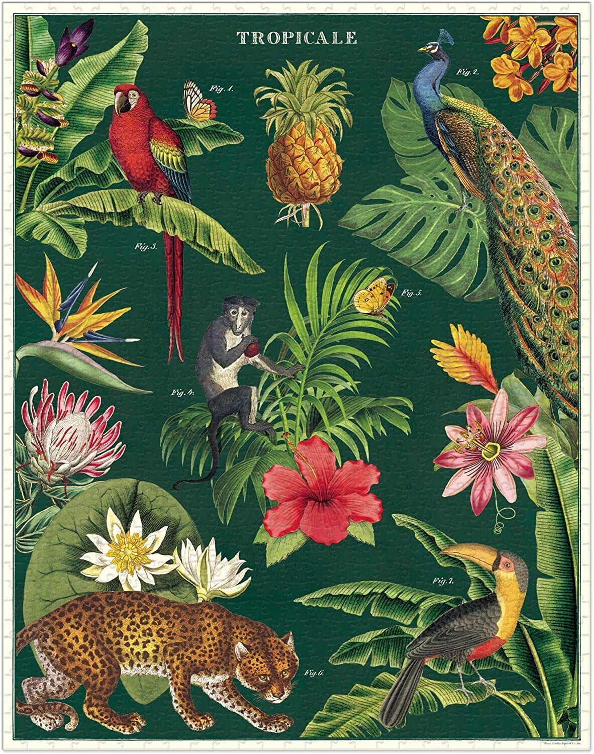 Buy Cavallini Tropicale Puzzle 1000pc Buy Cavallini Tropicale Puzzle 1000pc