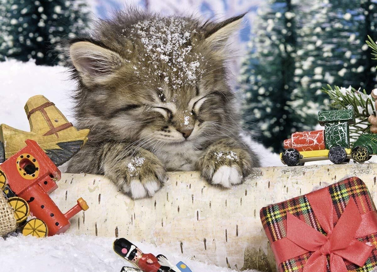 Buy Ravensburger Cat In The Snow Tin Box Puzzle 80pc
