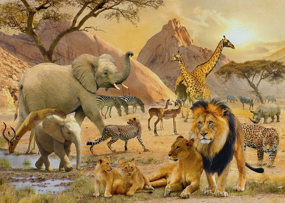 Wild Animal In The Dog Family Crossword Buy Ravensburger - Africa Animal Crowd Puzzle 1000pc