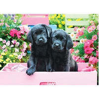 Eurographics - Black Labs in Pink Box Large Piece Puzzle 500pc