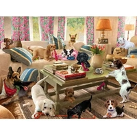 Prime 3D - Dogs in the Living Room Puzzle 500pc