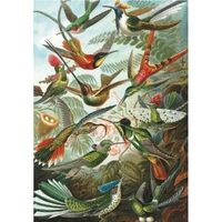 Piatnik - Hummingbirds Puzzle 1000pc