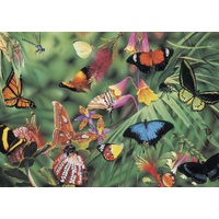 Blue Opal - Garry Fleming Butterflies & Beetles Puzzle 1000pc