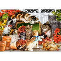 Castorland - Kittens Play Time Puzzle 1500pc