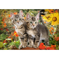 Castorland - Kitten Buddies Puzzle 1500pc