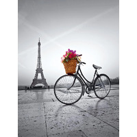 Clementoni - Romantic Promenade in Paris Puzzle 500pc