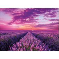 Clementoni - Lavender Field Puzzle 1000pc