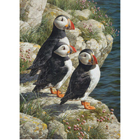 Cobble Hill - Fisherman's Wharf Puzzle 500pc