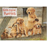 Cobble Hill - Golden Puppies Puzzle 500pc