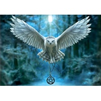 Educa - Awake Your Magic Puzzle 500pc
