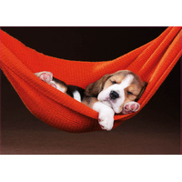 Educa - Sleeping In The Hammock Puzzle 500pc