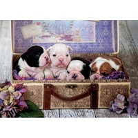 Educa - Puppies Puzzle 500pc