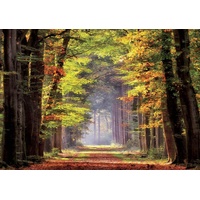 Educa - Autumn Walkway Puzzle 1000pc