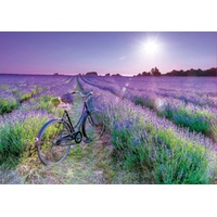 Educa - Bike In Lavendar Field Puzzle 1000pc