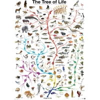 Eurographics - The Tree of Life Puzzle 1000pc