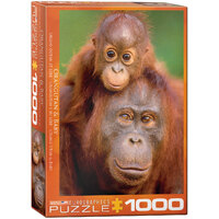 Eurographics - Orangutan & Baby Puzzle 1000pce