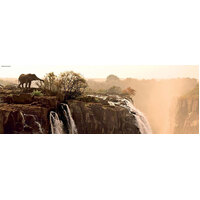 Heye, Von Humboldt, Elephant Panorama Puzzle 1000pc