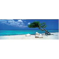 Heye - Von Humboldt, Divi Divi Tree Panorama Puzzle 1000pc