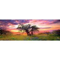 Heye - Von Humboldt, Oak Tree Panorama Puzzle 2000pc