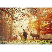 Heye - Magic Forest Stags Puzzle 1000pc