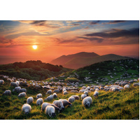 Heye - Von Humboldt, Sheep and Volcanoes Puzzle 1000pc