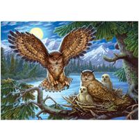 Holdson - Fur & Feathers - Night Owl Family Puzzle 1000pc
