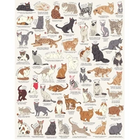Ridley's - Cat Lover's Puzzle 1000pc