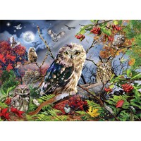 Jumbo - Owls in the Midnight Puzzle 1000pc