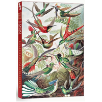 Penny Puzzle - Hummingbirds Puzzle 1000pc