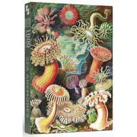 Penny Puzzle - Sea Anemones Puzzle 1000pc