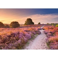 Ravensburger - Pink Pathway Puzzle 1000pc