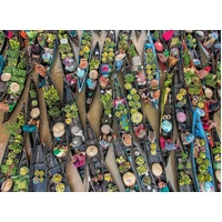 Ravensburger - Floating Market, Indonesia Puzzle 500pc
