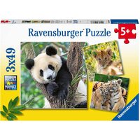 Ravensburger - Panda Lion and Tiger Puzzle 3x49pc
