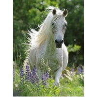 Ravensburger - Horse in Flowers Puzzle 100pc