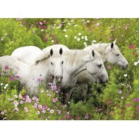 Ravensburger - Horses in a Field Puzzle 300pc 