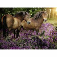 Ravensburger - Ponies in the Flowers Puzzle 500pc
