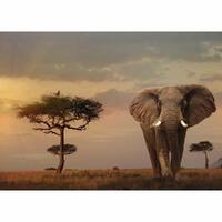 Ravensburger - Elephant of the Massai Mara Puzzle 1000pc