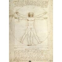 Ravensburger - Leonardo da Vinci: The Vitruvian Man Puzzle 1000pc