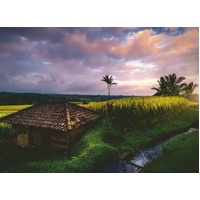 Ravensburger - Bali Rice Fields Puzzle 500pc