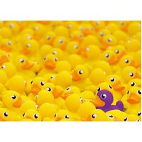 Ravensburger - Rubber Ducks Challenge Puzzle 1000pc