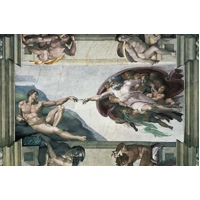 Ravensburger - Michelangelo, The Creation of Adam Puzzle 5000pc