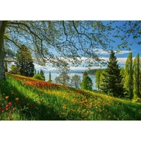 Schmidt - Isle Of Mainau Switzerland Puzzle 1000pc