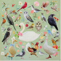 WerkShoppe - Beautiful Birds Puzzle 1000pc
