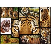 WWF - Tigers Puzzle 1000pce