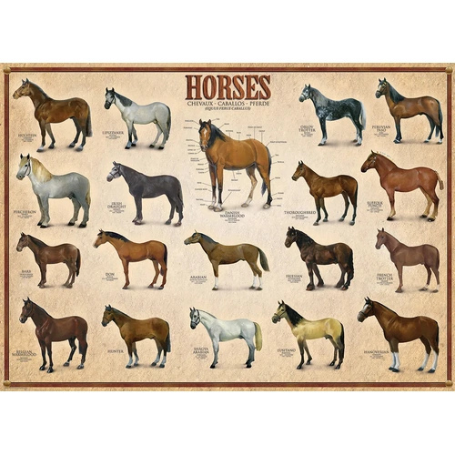 Eurographics - Horses Puzzle 1000pc