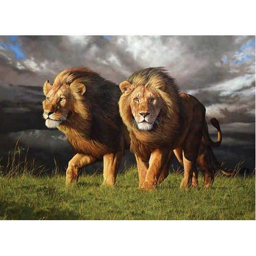 Cobble Hill - Approaching Storm Puzzle 1000pc