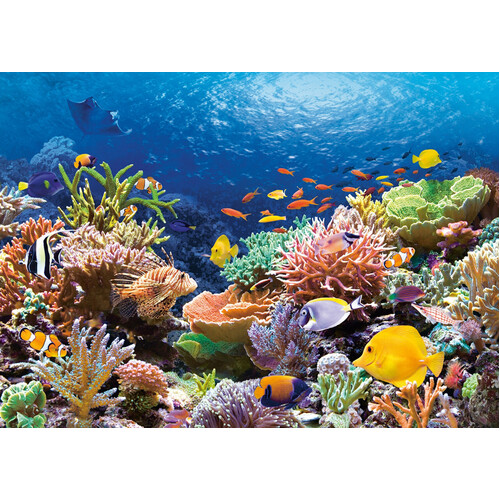 Castorland - Coral Reef Puzzle 1000pc