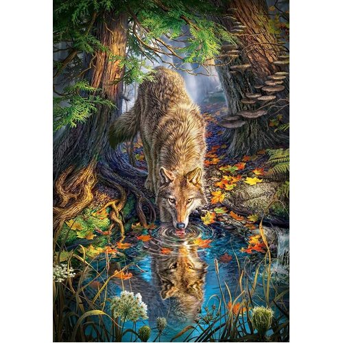 Castorland - Wolf In The Wild Puzzle 1500pc