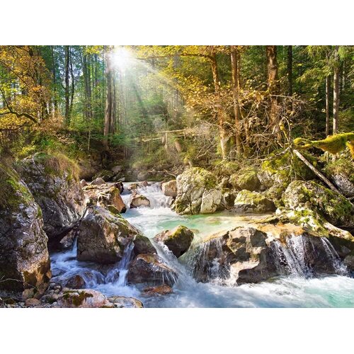 Castorland - The Forest Stream Puzzle 2000pc