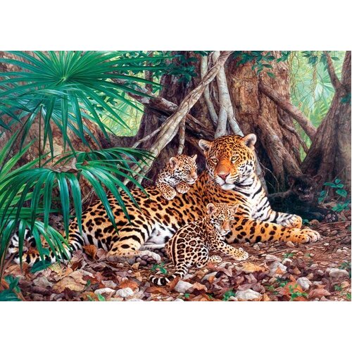Castorland - Jaguars In The Jungle Puzzle 3000pc